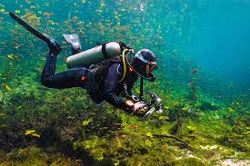 Best Scuba Diving In Florida Idiveblue Expert Guide