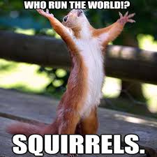 Pin By Nikki Watts On Rockin Animals Happy Squirrel Animals Cute Animals