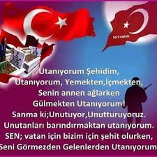 Her gün alınan şehit haberleri yüreklerimizi parçalıyor. Asker Ve Sehitler Icin Sozler Anlamli Guzel Sozler