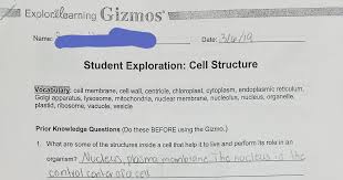 Student exploration hr diagram answers. What Is The Role Of Centrioles Gizmo