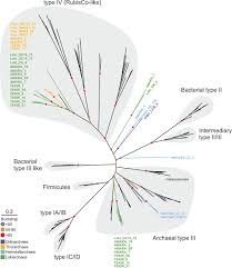 Regulament cu privire la organizarea şi funcţionarea ministerului educației, culturii și cercetării i. The Sunlit Microoxic Niche Of The Archaeal Eukaryotic Ancestor Comes To Light Biorxiv