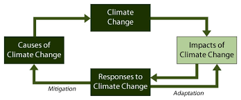 3 Responding To Global Climate Change The Geographer Online