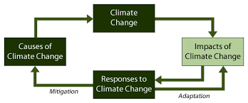 3 responding to global climate change the geographer online