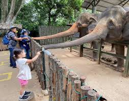 Maybe you would like to learn more about one of these? Harga Tiket Zoo Melaka Utk 2021 Diskaun