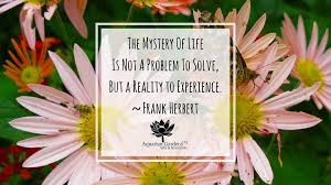 The Mystery Of Life Is Not A Problem To Solve But A Reality To Experience Pictures Photos And Images For Facebook Tumblr Pinterest And Twitter