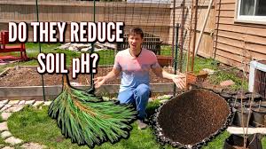 Some gardens have acidic soils, some have neutral soils, and some have alkaline soils. Do Pine Needles Or Coffee Grounds Lower Soil Ph Youtube