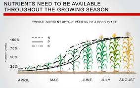Plant Soil Nutrient Availability