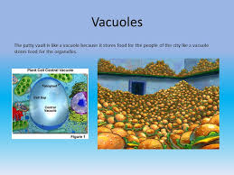 Maybe you would like to learn more about one of these? Cell Analogies Spongebob Theme Ppt Video Online Download