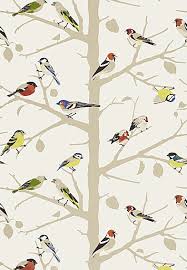 Schumacher Birds And Butterflies Wallpaper Uk Schumacher Wallpaper Bird Wallpaper Schumacher Wallpaper Eclectic Wallpaper