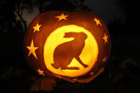 6 moon and stars pumpkin color. Charlotte Maythorn On Twitter Hare Moon Stars Pumpkin Because We Love Hares On The Farm They Were Also Strongly Associated With Witches Halloween Hpt Official Https T Co Do7o5oi8l1