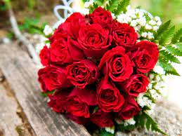 Besides representing a romantic indication, the deep meanings of flaming flowers can be respect, sympathy, heartfelt regret, and. The Best Flowers To Send In Germany For 9 Different Occasion Live Enhanced