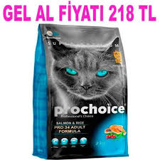 prochoice pro 34 somon ve pirincli kedi mamasi 15 kg amazon pet center somon bira mayasi kedi