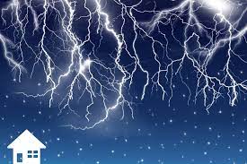 描いた魚の絵を水の中で泳がせる 夢のような実験 用意する材料と手順 マイペースハイ 魚 絵 実験 魚