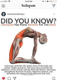 Yoga Pose Yoga Benefits How To Do Yoga Easy Yoga Workouts