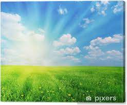 Trova immagini stock hd a tema paesaggio estivo soleggiato. Quadro Su Tela Primavera Paesaggio Soleggiato Pixers Viviamo Per Il Cambiamento