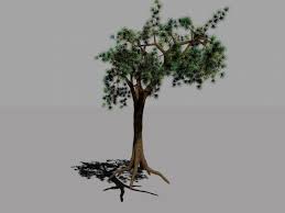 Joshua Tree 3d Model 3ds Joshua Tree Tree Free Tree