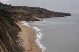 Bowling Ball Beach Point Arena Ca California Beaches