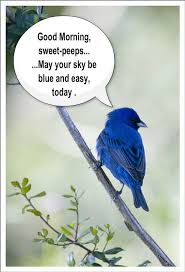 Pin On Good Morning