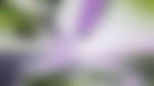 Maybe you would like to learn more about one of these? Integer Mollis Dictum Orci Trogir Taxis