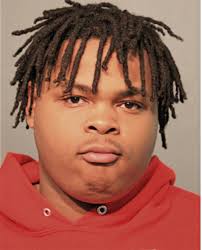 ᐅ Illinois Criminal Records 2009-2025