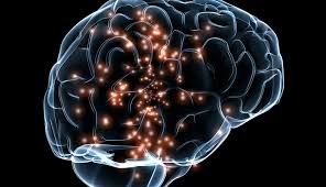 Se ha de diagnosticar muerte cerebral de forma estricta, para cuestiones tales como: Consejos Para Prevenir Un Derrame Cerebral Dr Elmer Huerta