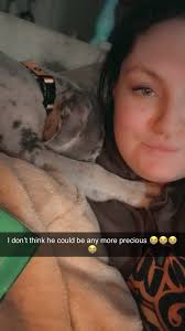 Hi , looking for some advice. We have 2 Dane boys 22month old brothers 🐾  both very strong! We have been using dogmatic head collars …. They are that  head strong they