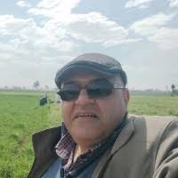 200+ "Beshoy" profiles