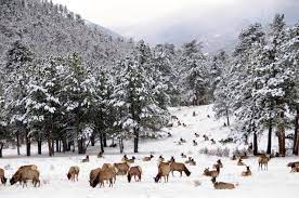 Grand adventure has an impeccable safety record. Snow Activities In Grand Lake Colorado Western Riviera