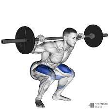 Squat Standards for Men and Women (kg) - Strength Level