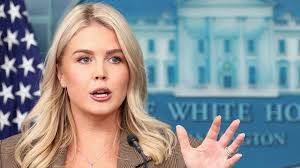 Byron Bay's Sally Mustang and Mitch Gobel announce baby news