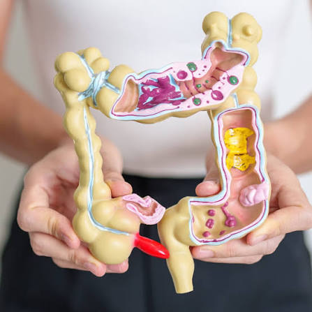 Exploring the Benefits of Colon Hydrotherapy - Kent Detox