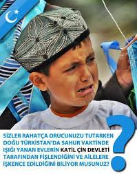 Doğu türkistan'da müslümanlara baskı devam ediyor. Dogu Turkistan Da Cin Zulmu 471038 Uludag Sozluk Galeri