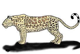 The zanzibar leopard has been thought to be extinct for over 20 years, but with tales of sightings of the zanzibar leopard (panthera pardus adersi) was described as a leopard subspecies by pocock. Discuss Everything About Dinopedia Fandom