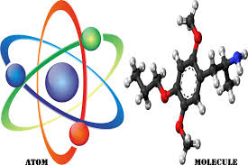 A cult phenomenon that revolutionalised the world of modern perfumery. Difference Between Atoms And Molecules Atoms And Molecules Definition