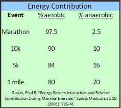 Why Is Aerobic Training Important To Runners Runners Connect
