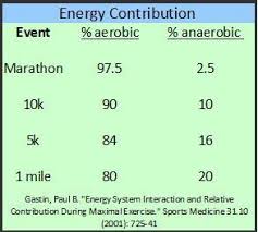 How Fast Should Your Easy Runs Be Runners Connect