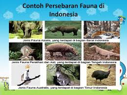 Persebaran flora dan fauna tersebut memang di pengaruhi oleh letak geografis dan juga faktor lain seperti bentang alam dan juga sejarah. Gambar Flora Dan Fauna Tipe Asiatis Persebaran Flora Dan Fauna Tersebut Memang Di Pengaruhi Oleh Letak Geografis Dan Juga Faktor Lain Seperti Bentang Alam Dan Juga Sejarah