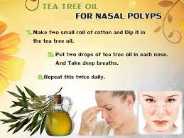 Tea Tree Oil For Nasal Polyps Tea Tree Oil Essential Oil For Liver Tree Oil