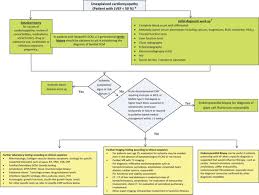 Current Diagnostic And Treatment Strategies For Specific Dilated Cardiomyopathies A Scientific Statement From The American Heart Association Circulation