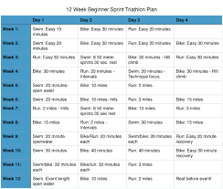 Couch To Sprint Triathlon Training Plan For The Busy Person Triathlon Training Plan Sprint Triathlon Training Sprint Triathlon