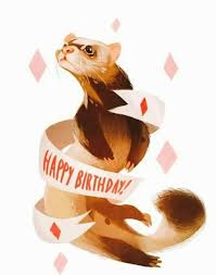 Pin By Ari Aramayo On Ferret Designs Cute Ferrets Pet Ferret Animal Art