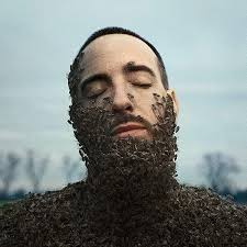 Hinterland: Amazon.de: CDs & Vinyl