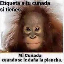 Mi Cunada Imagenes De Risa Memes Frases Para Cunadas Chistes Para Reir