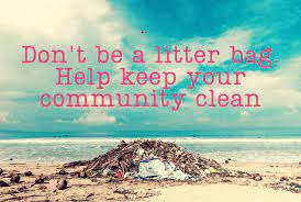 50 Littering Quotes And Slogans To Save The World From Trash Conserve Energy Future