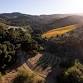 Shape Something Wild: Sculpting with the Land