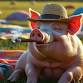 Hog & Whiskey Festival 2.0