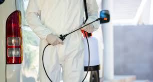 Your hills pest control pros expert will determine the pests in your house and put together a strategy to handle common infestations like termites, bed bugs, cockroaches, mosquitoes, rodents, and a lot more. Hill Country Pest Control Kerrville Serving Texans Since 1939