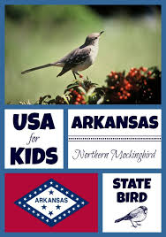 Select from 35919 printable crafts of cartoons, nature, animals, bible and many more. State Bird Coloring Pages By Usa Facts For Kids State Birds Bird Coloring Pages Arkansas State