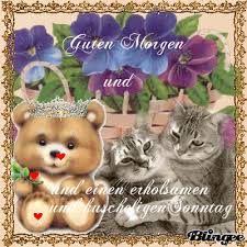 Https Encrypted Tbn0 Gstatic Com Images Q Tbn And9gcsn4pfasvbg9j3nd4 Rrje5iyak4u Dfykpsa Usqp Cau
