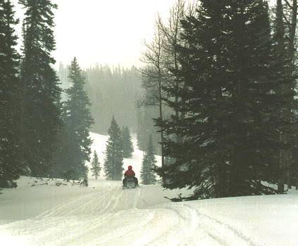 Snowmobiling in the Kootenai region